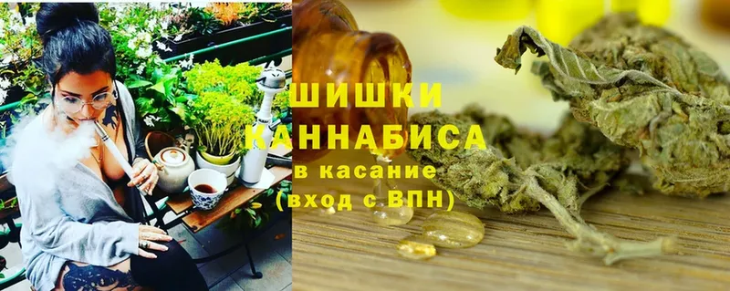 Каннабис SATIVA & INDICA  цена наркотик  Печора 